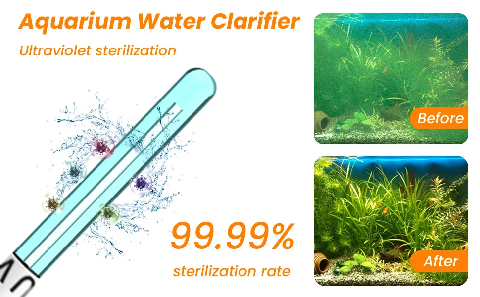 Aquarium water clarifier with UV sterilization showing 99.99% effectiveness before and after use in a fish tank