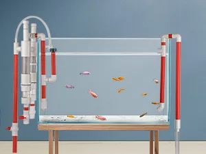 Hygger aquarium with red pipes, filtration system, and colorful fish swimming in clear water