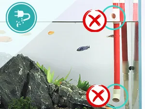 Hygger aquarium setup guide: avoid common mistakes like overfeeding and incorrect water flow