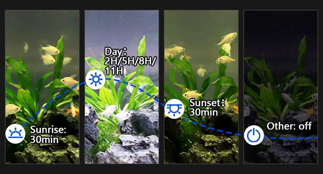 Hygger aquarium lighting schedule showing sunrise, day, sunset, and other settings with fish and plants
