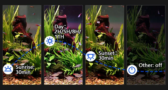Hygger aquarium lighting schedule showing sunrise, day, sunset, and other settings with 30min each for optimal fish habitat