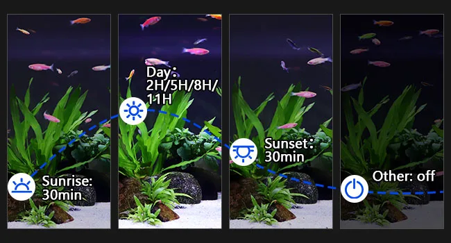 Hygger aquarium lighting schedule: Day (2H/5H/8H/14H), Sunrise (30min), Sunset (30min), Other off