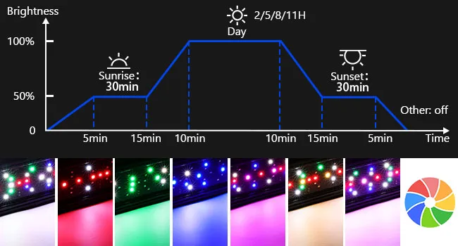 Hygger aquarium LED lighting schedule showing sunrise, day, sunset, and other modes with color spectrum and brightness levels