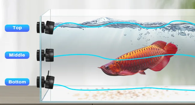 Hygger aquarium with three water level indicators labeled Top, Middle, and Bottom, showing a red arowana fish swimming in cle