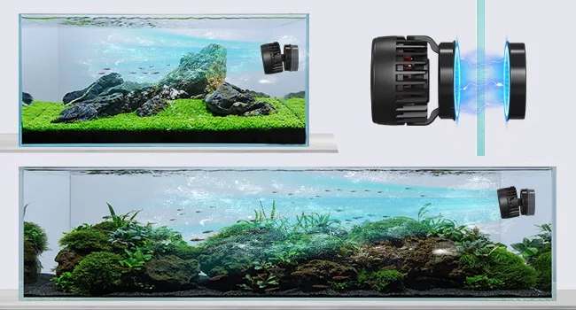 Hygger aquarium with underwater camera for live viewing of fish and plants