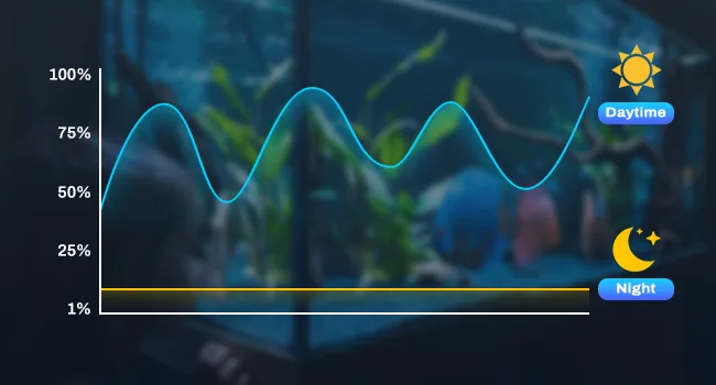 Hygger Aquarium LED lighting graph showing daytime (blue) and nighttime (yellow) intensity levels for optimal fish habitat