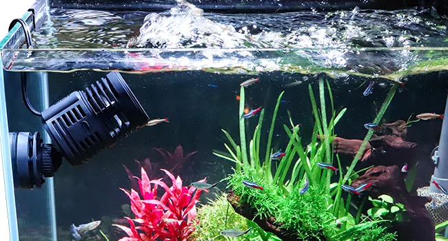 Hygger aquarium with vibrant fish, lush plants, and a bubbling filter system