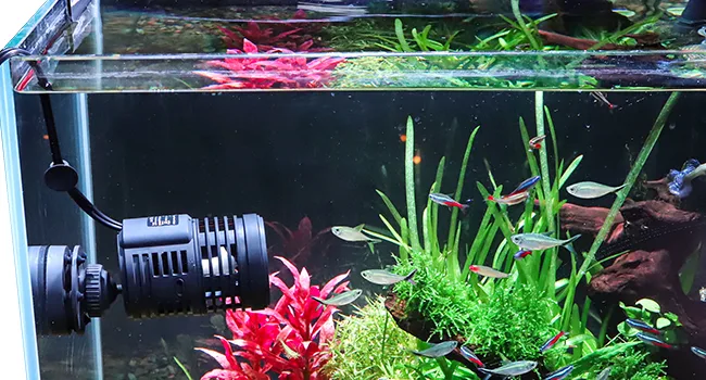 Hygger aquarium with vibrant fish, lush plants, and a water pump for a thriving aquatic ecosystem.