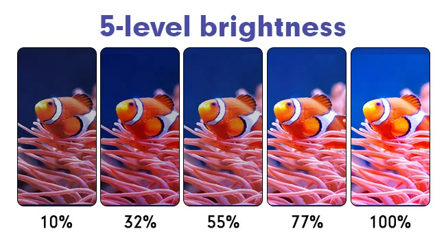 5-level brightness comparison showing clownfish on coral with 10%, 32%, 55%, 77%, and 100% brightness settings