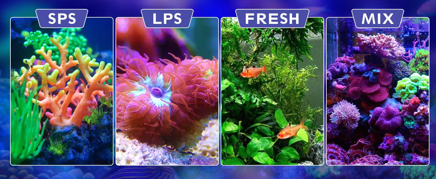 Four aquarium types: SPS coral tank, LPS anemone tank, Freshwater fish tank, and Mixed coral tank with vibrant marine life.