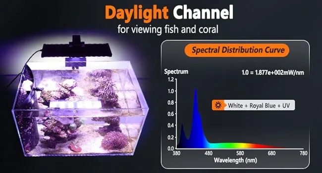 Hygger Aquarium Daylight Channel for fish and coral viewing with spectral distribution curve showing White + Royal Blue + UV