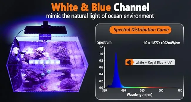 Hygger aquarium lighting system with White & Blue Channel mimicking ocean natural light for coral growth