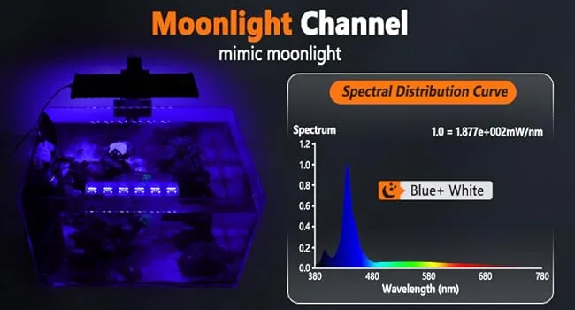 Moonlight Channel aquarium lighting system with blue and white spectrum, mimicking moonlight for aquatic plants and fish