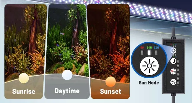 Hygger aquarium lighting system showing Sunrise, Daytime, and Sunset modes with Sun Mode control panel for optimal aquatic en