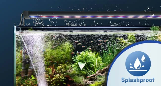 Hygger aquarium with vibrant plants, fish, and splashproof LED lighting, showcasing a thriving aquatic ecosystem.