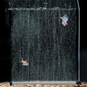 Hygger aquarium with two fish swimming in a bubble-filled tank, showcasing vibrant colors and clear water.