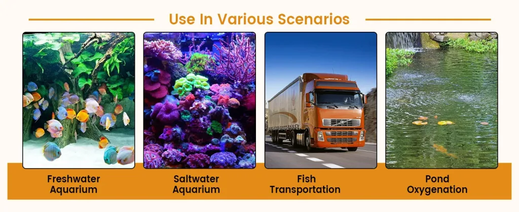 Hygger Aquarium products for Freshwater, Saltwater Aquariums, Fish Transportation, and Pond Oxygenation with vibrant aquatic