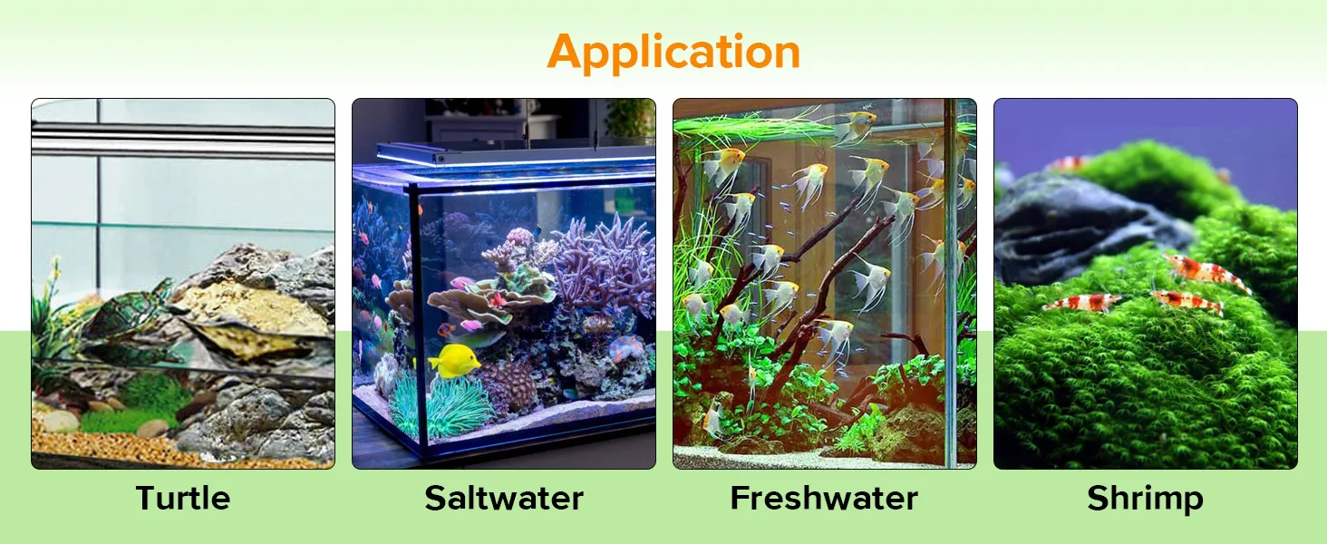Hygger aquariums for turtle, saltwater, freshwater, and shrimp tanks with vibrant aquatic life and natural decor