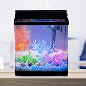 Hygger mini aquarium with colorful fish, coral, and blue gravel, perfect for home decor