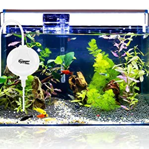 Hygger aquarium with lush plants, colorful fish, and a water pump for a thriving aquatic ecosystem
