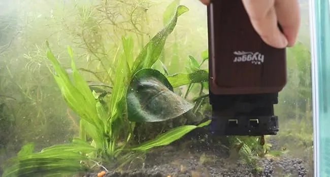 Hand holding Hygger aquarium device near aquatic plants in a clear tank
