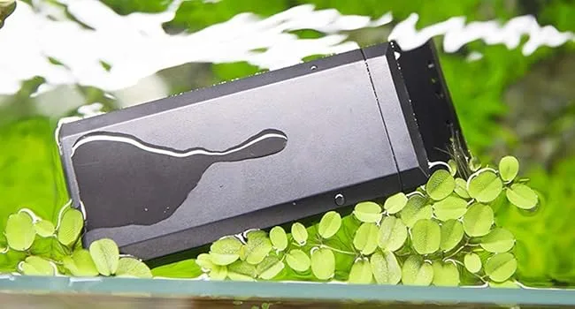 Hygger aquarium product with sleek black design and white wave pattern, surrounded by green aquatic plants in water.