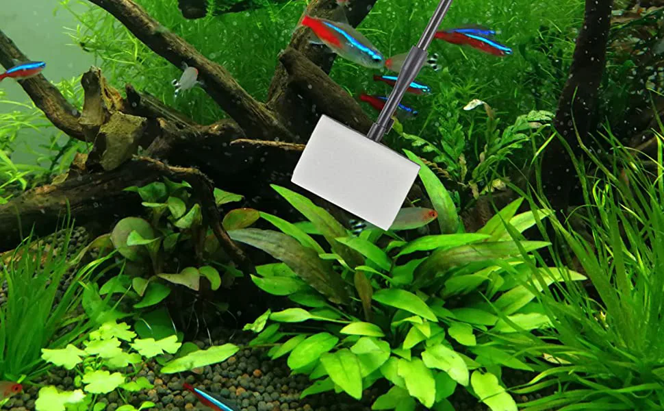 Hygger aquarium with vibrant fish, lush plants, and natural driftwood setup for a thriving aquatic ecosystem.