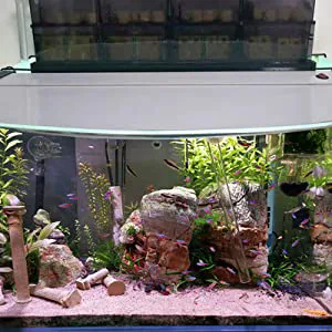 Hygger aquarium with lush plants, rocks, and fish in a well-designed tank setup