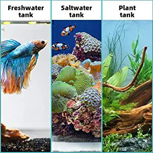 Three aquarium tanks: freshwater with betta fish, saltwater with coral reef, and plant tank with aquatic plants and driftwood
