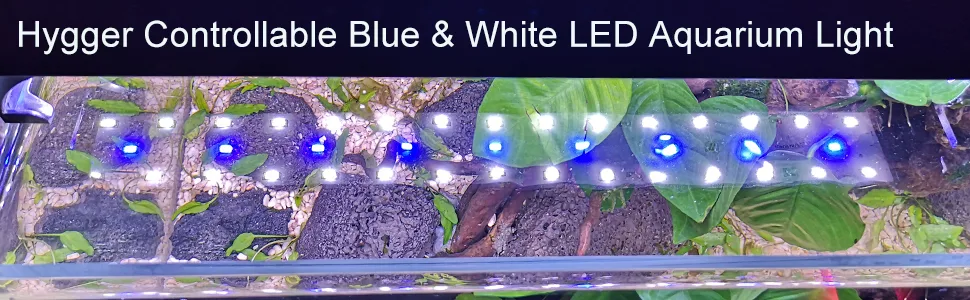 Hygger Controllable Blue & White LED Aquarium Light illuminating a vibrant planted tank with lush green plants and colorful f