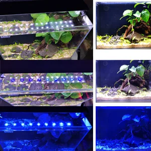 Hygger aquarium LED lighting system with vibrant plants and fish in glass tanks, showcasing blue and white LED strips for aqu