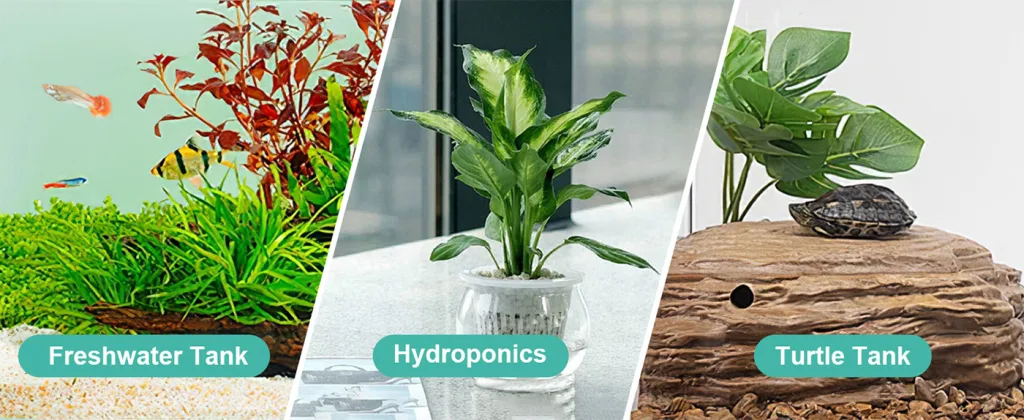 Three aquarium setups: Freshwater Tank with fish and plants, Hydroponics plant in glass pot, Turtle Tank with a turtle on a r