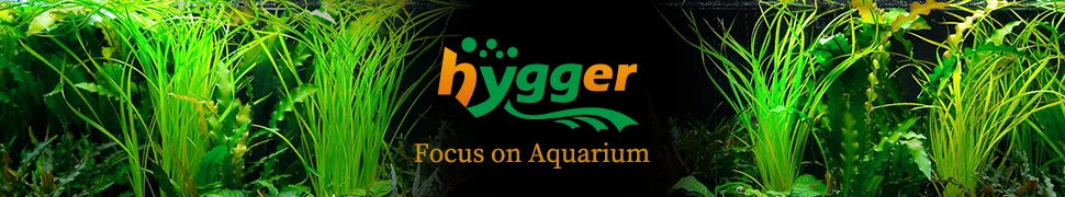 Hygger Aquarium logo with vibrant green aquatic plants in a lush tank background, promoting aquarium focus.