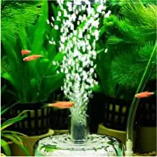 A vibrant aquarium with lush green plants, colorful fish, and a central water fountain creating a serene aquatic scene.