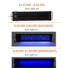 Hygger aquarium light schedule showing auto light out at 11:31 PM-6:29 AM, daylight mode 6:30 AM-6:00 PM, and moonlight mode