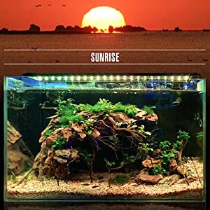 Hygger aquarium with lush plants and rocks under a sunrise sky, showcasing natural aquatic decor.