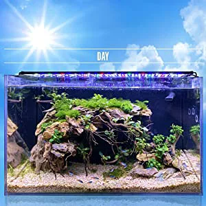 Hygger aquarium with lush plants, rocks, and gravel under bright daylight, showcasing a natural aquatic habitat.