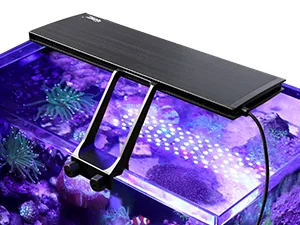 Hygger aquarium water pump with black top and metal stand over vibrant purple coral reef tank