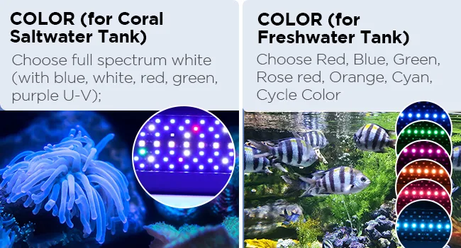 Hygger aquarium lighting options: Coral Saltwater Tank (full spectrum white) and Freshwater Tank (Red, Blue, Green, Rose red,