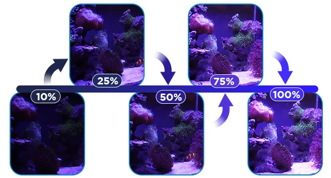Hygger Aquarium water level indicator showing 10%, 25%, 50%, 75%, and 100% with corresponding aquarium views