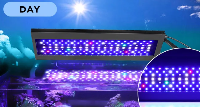 Hygger aquarium LED light fixture for day mode with vibrant blue and purple lighting enhancing underwater coral reef scene