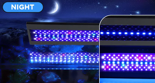 Hygger aquarium LED lighting system for night mode with vibrant blue and purple LED strips illuminating the tank.