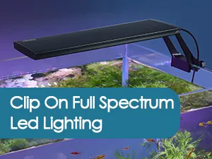 Hygger Clip-On Full Spectrum LED Aquarium Light for vibrant fish and plants