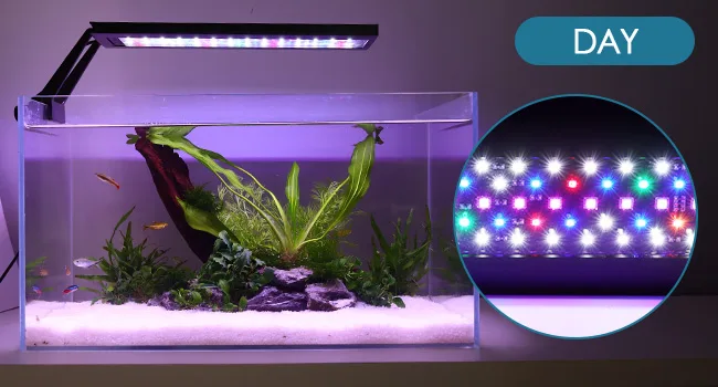 Hygger aquarium with LED lights, colorful fish, and aquatic plants under 'DAY' lighting mode