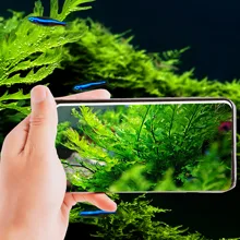 Hand holding smartphone capturing vibrant green aquatic plants in a hygger aquarium setup