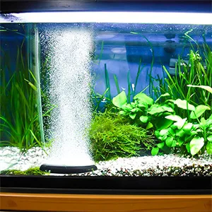 Hygger aquarium with lush green plants, white gravel, and a water circulation system creating gentle bubbles.