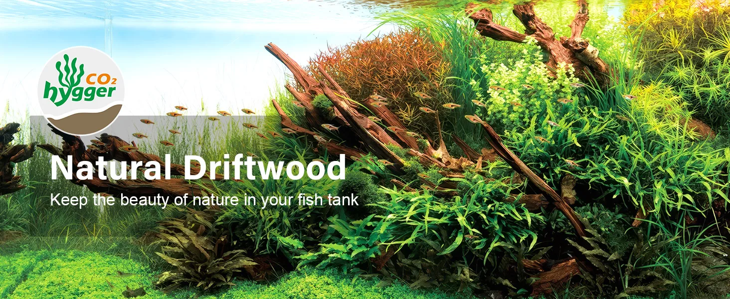 Hygger CO2 aquarium featuring natural driftwood, lush plants, and vibrant fish in a serene tank setup