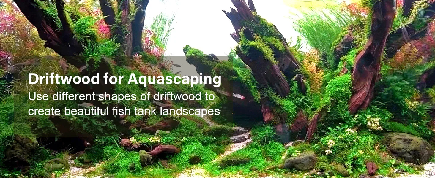 Driftwood in aquascaping: Create natural fish tank landscapes with varied driftwood shapes and lush plants