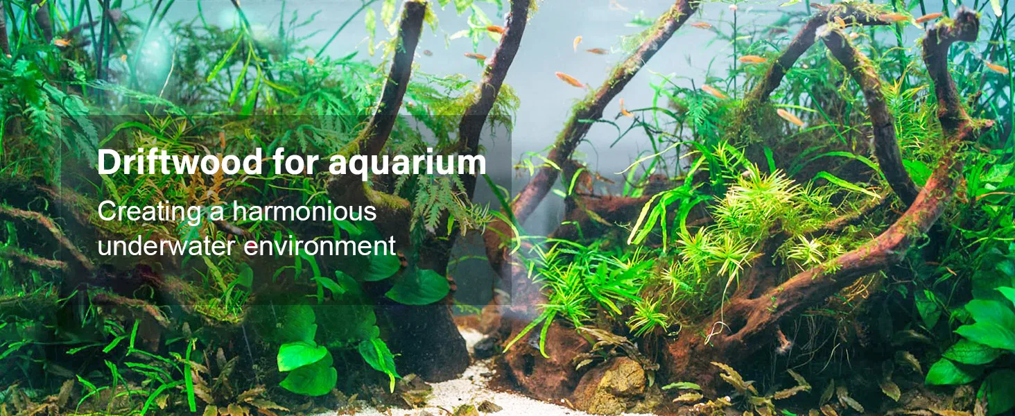 Driftwood in aquarium with lush plants and fish creating natural underwater habitat