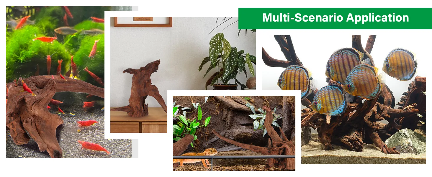 Hygger aquarium decor showcasing natural wood, plants, and fish in various home settings for multi-scenario application
